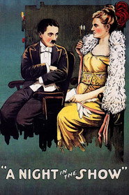شبی در نمایش