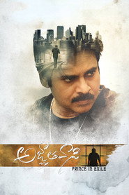 Agnathavasi - Prince in Exile