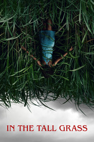 در Tall Grass