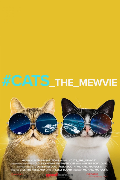 # گربه_the_mewvie