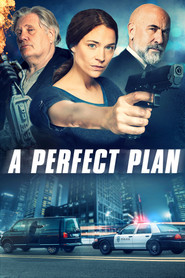 A Perfect Plan