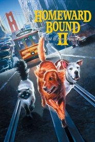 Homeward Bound II: گمشده در سانفرانسیسکو