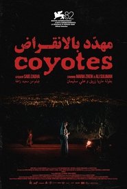 Coyotes