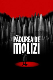 Padurea de molizi