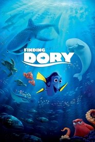 پیدا کردن Dory