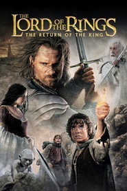 Lord of the Rings: Return of King