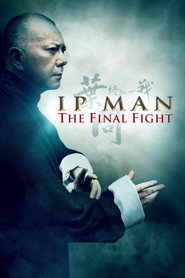 Ip Man: Final Fight