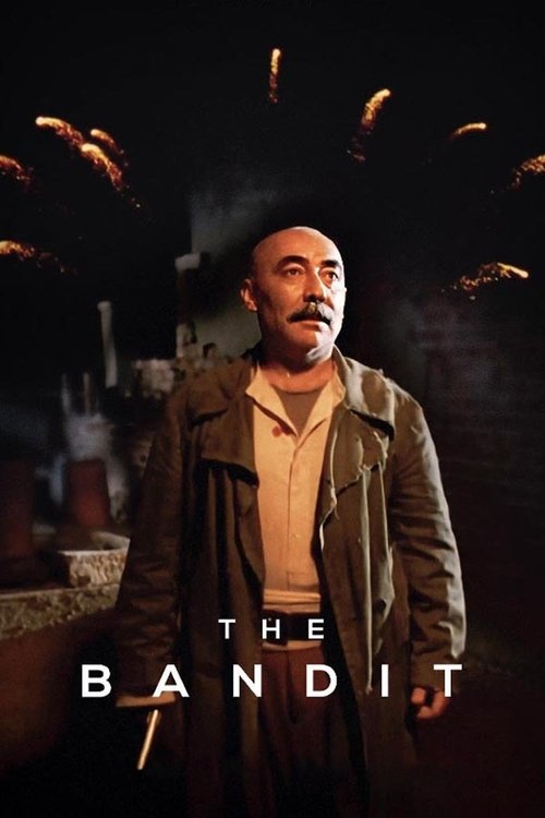 راهزن