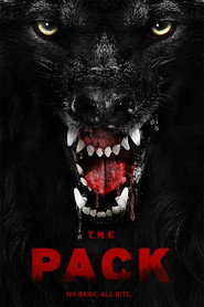 بسته