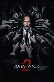 جان ویک: فصل 2