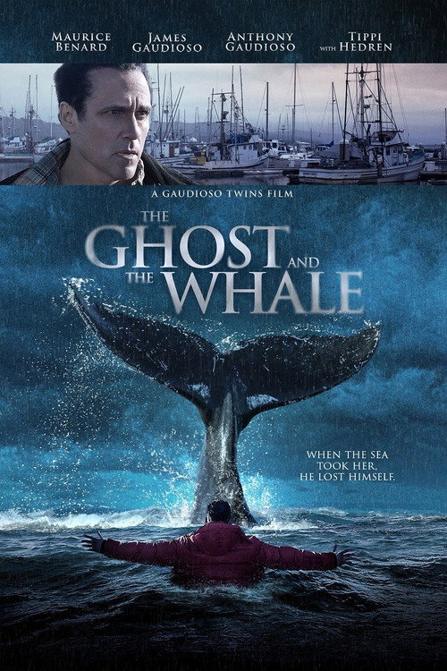 The Ghost and The Whale