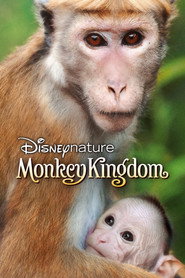 پادشاهی میمون